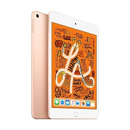 Apple - iPad mini 5 (2019) Wi-Fi 64GB / Gold *תצוגה*