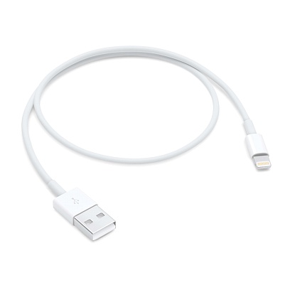 Apple - Lightning to USB Cable (0.5m) / White White