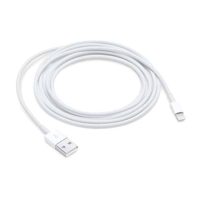 Apple - Lightning to USB Cable (2m) / White White
