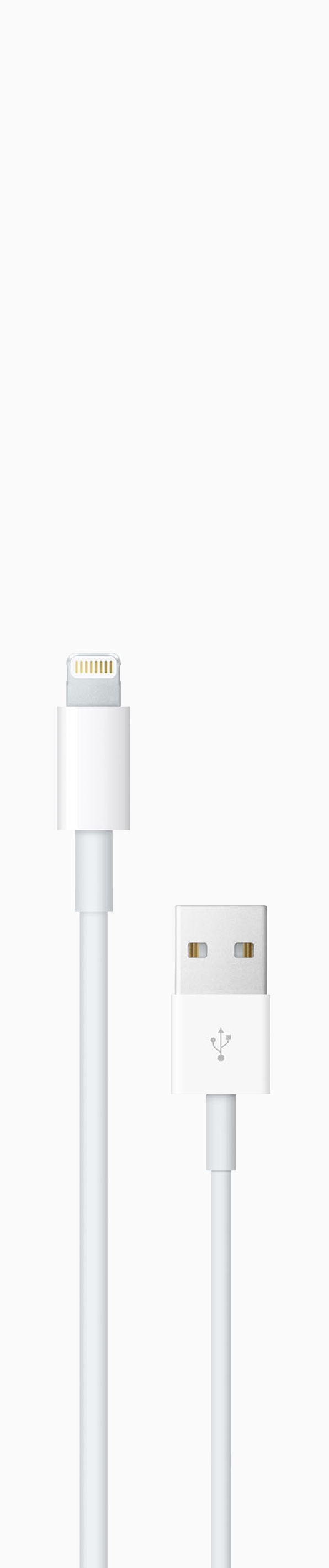 Lightning to USB Cable Photo